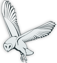 Porn reside gay sex that is Fully free on cam chart